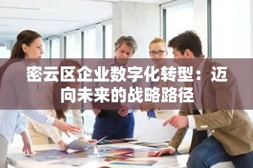 密云区企业数字化转型：迈向未来的战略路径