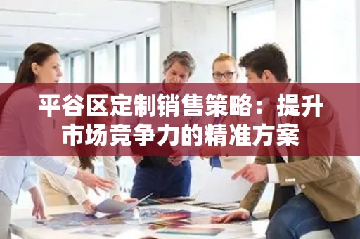 平谷区定制销售策略：提升市场竞争力的精准方案