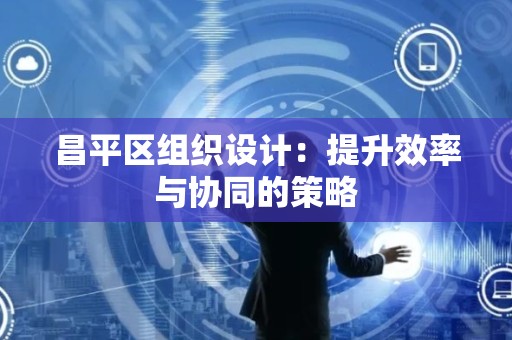 昌平区组织设计：提升效率与协同的策略